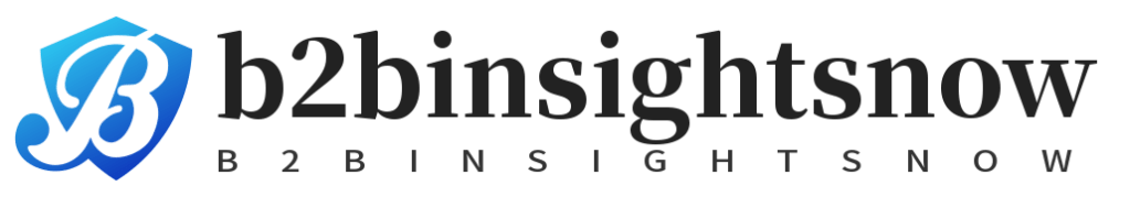 b2b insight snow